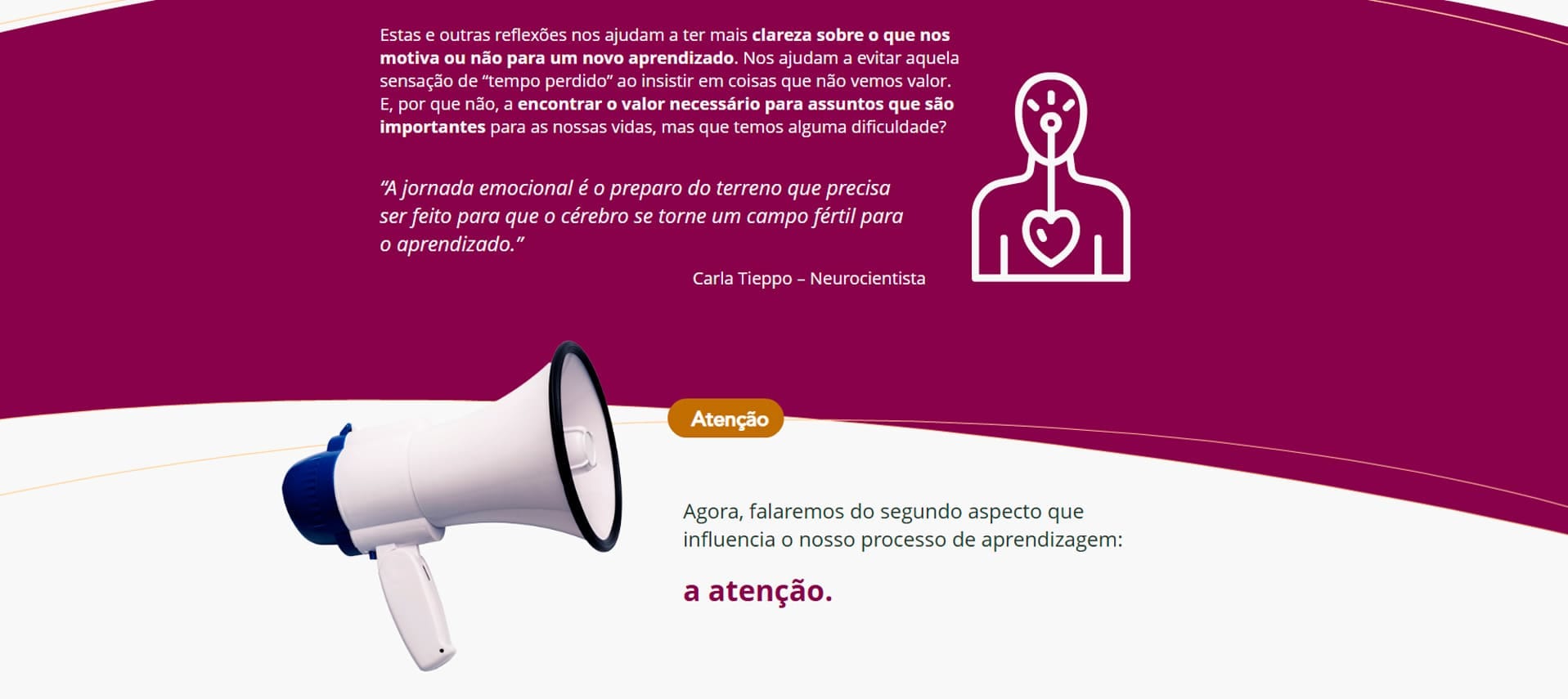 Neuroaprendizagem_04