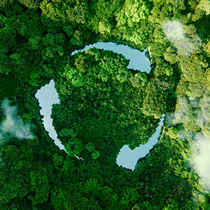 O que empresas podem fazer para conter a Crise Climática?
