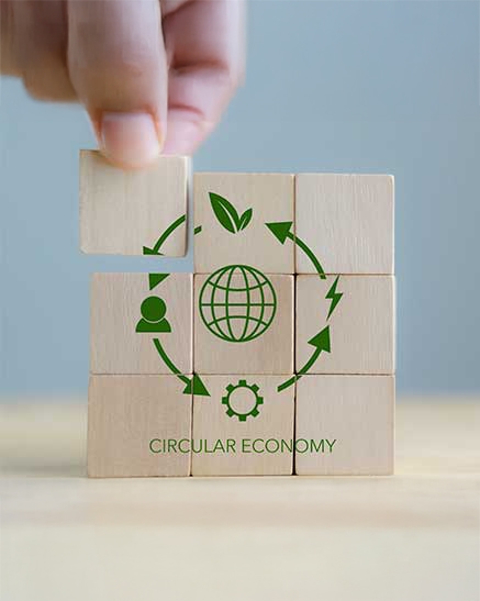 economia circular economia circular